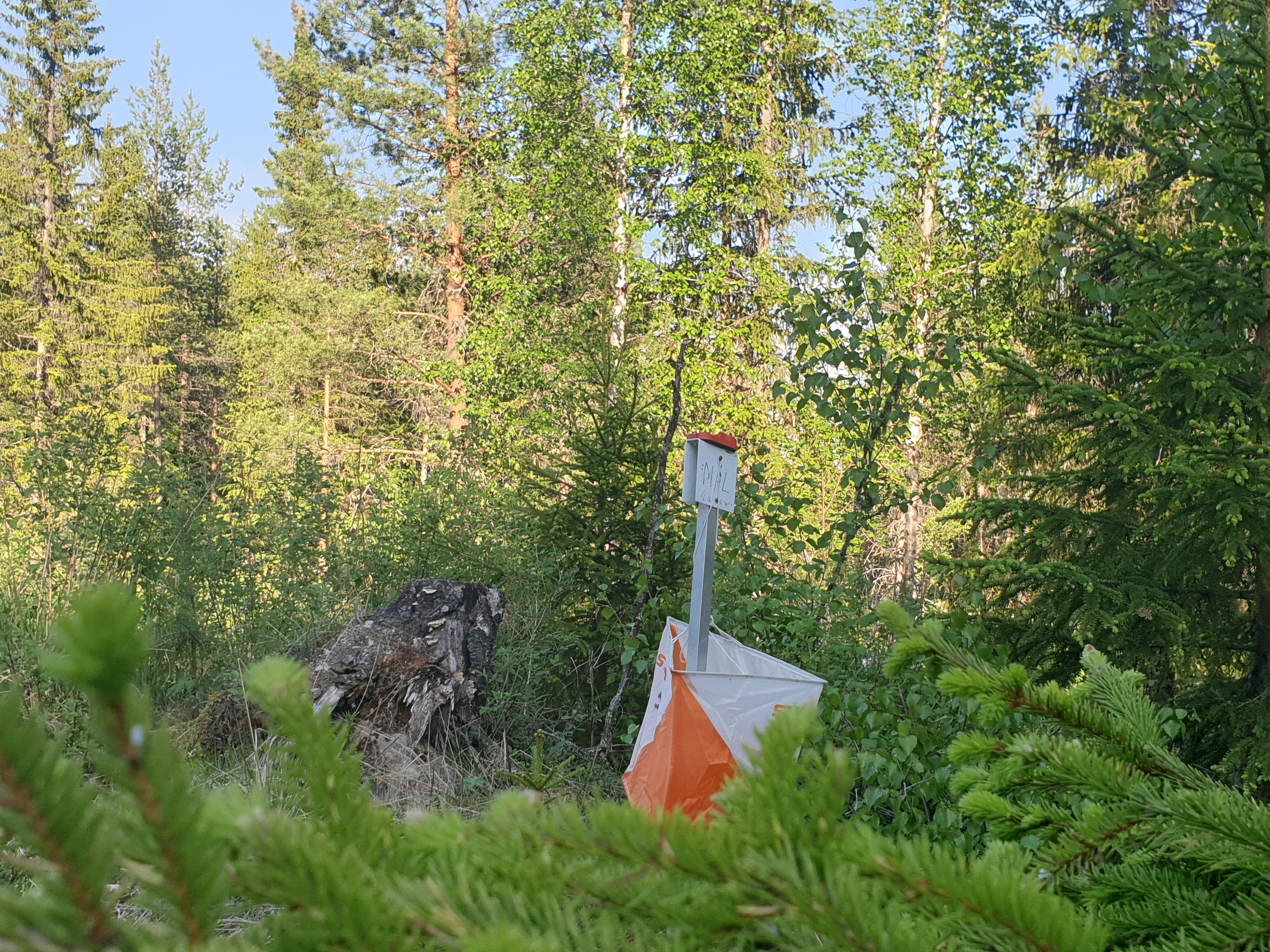 Velkommen til O-løp på Torpo - Syningen kartet onsdag 3/9-2025 kl. 17:30